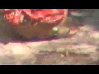 Escondido câmara filme de indiana tiazinha fazendo urina outdo